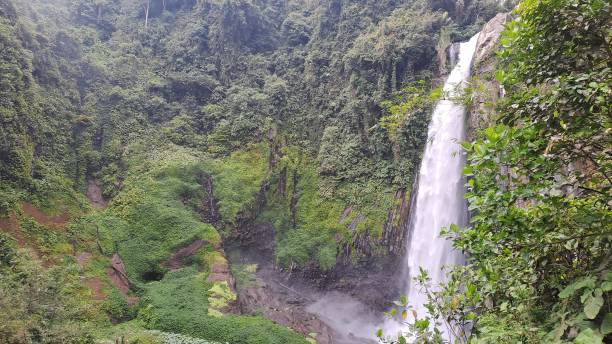 istock Beautifull Waterfall in Tropical Forest, Bengkulu, Indonesia Background Desktop 2170826977