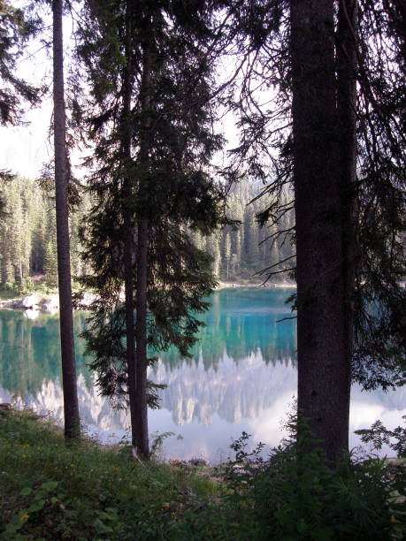 istock Reflections in Italian Alpin lake 2170830446