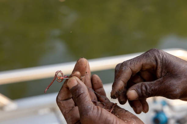Skilled Black Fisherman Preparing Bait on Kafue River