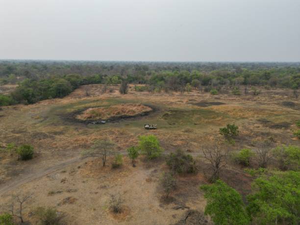Kafue National Park Safari Adventure