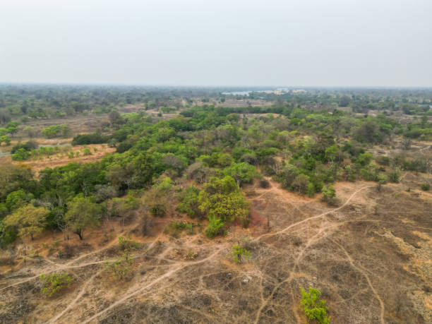 istock Serene Kafue National Park Landscape 2170832220