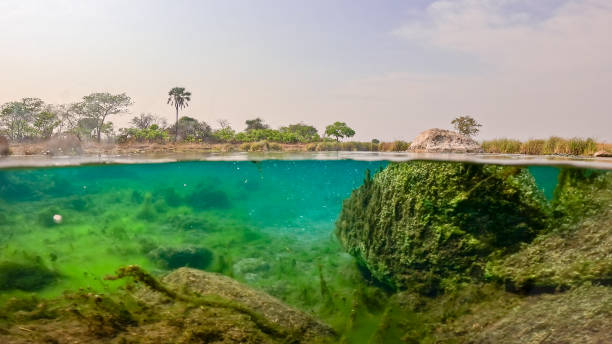 Underwater Wonder and Terrain at Kafue River