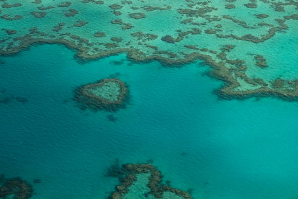 istock Heart Reef Whitsundays 2170837916