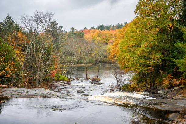 istock Rapids on a river running through a forested landscape on a rainy fall day 2170844129