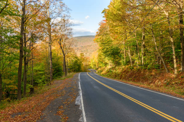 istock Empty mountain road through a forest at the peak of fall foliage 2170844324