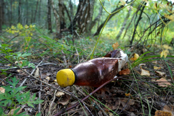 Plastic bottle thrown away in forest. Garbage in nature, reusable products. Rubbish thrown in forest. PET Plastic water bottle thrown out in nature. Waste in nature. Abandoned pet garbage waste.