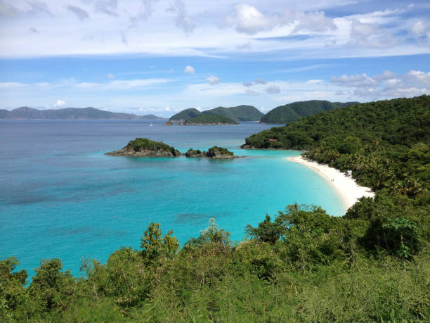 istock Blue Ocean Bay with Green Vegetation 2170849686