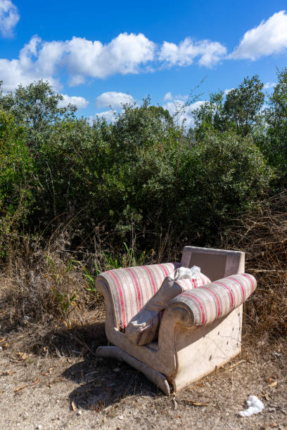 Man's disregard for nature: a sofa abandoned in the middle of a field, showcasing a lack of environmental consciousness.