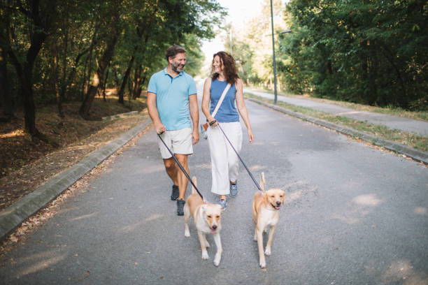 istock Walking and Enjoying with Dogs 2170851110