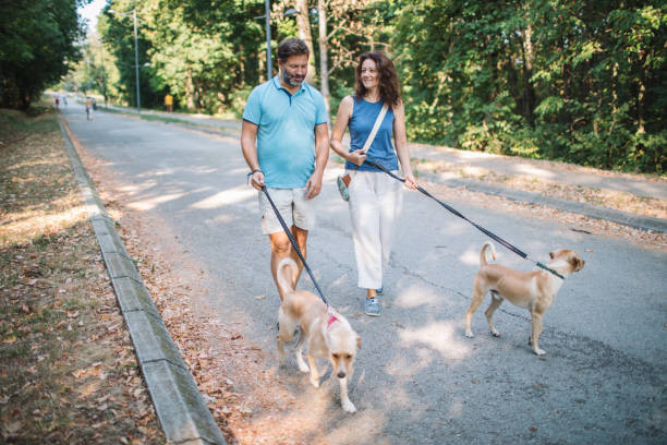 Free Stock Photo of Couple walking dogs in nature | Download Free ...