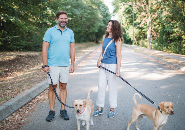 istock Cheerful couple walking their dogs 2170851176