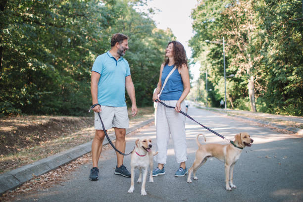 istock Enjoying Warm Moments with Dogs 2170851182