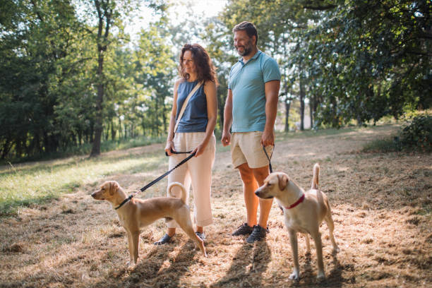 istock Happy park walk with dogs 2170851425