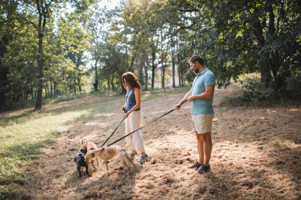 istock Couple Enjoys Dog Stroll 2170851427