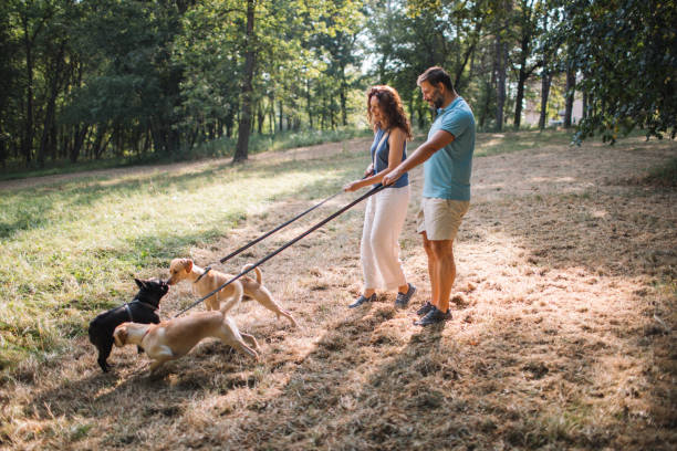 istock Walking and Enjoying with Dogs 2170851428