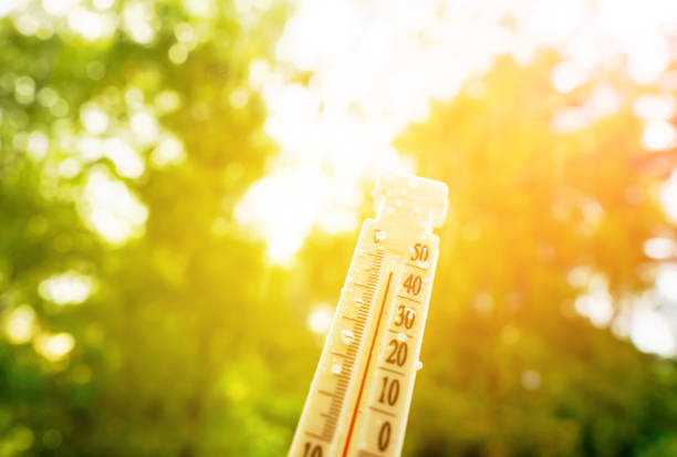 Meteorological device for observing and measuring the weather. Weather forecast. Thermometer on autumn background. Hot weather, drought in summer.