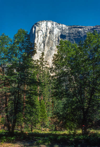 Yosemite NP - El Capitan - 1978. Scanned from Kodachrome 64 slide.