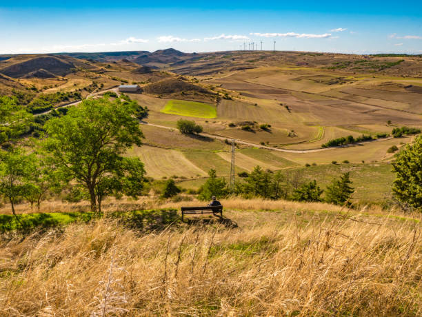 istock Crop fields and person sitting on a bench. 2170854896