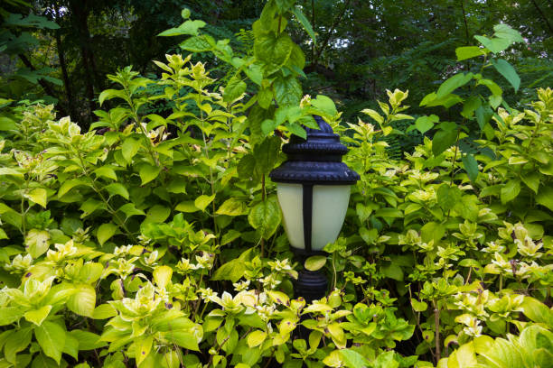 Street lamp in plants