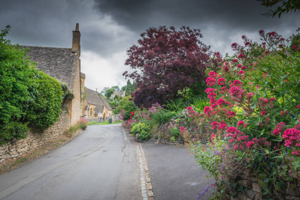istock Quiet village road in the summer 2170858746