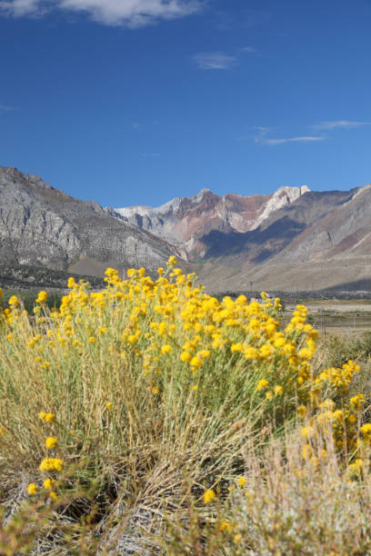 Red Mountain located not far from California's scenic SR-395 drive.
