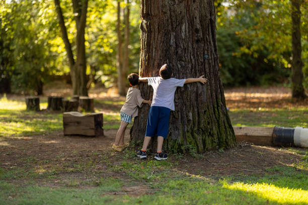 istock Love of trees 2170864305