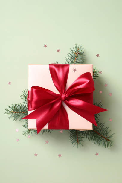 Christmas gift box with red ribbon bow and fire branches on pastel green background. Flat lay, top view.