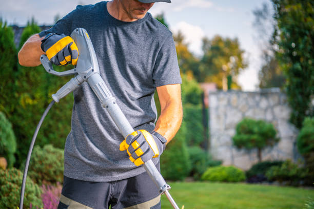 istock Gardener Using a Pressure Washer on a Sunny Afternoon in a Beautifully Landscaped Backyard 2170874903