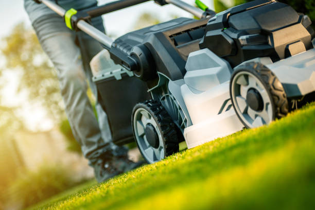 A person is actively mowing a vibrant green lawn on a sunny afternoon, showcasing a neat garden and effective lawn care.