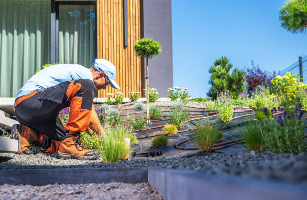 istock Gardener Cultivating Vibrant Plants in a Modern Landscape Design. Drip Irrigation System. 2170875736