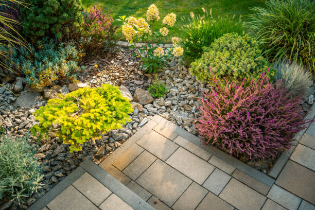 istock Lush Garden Landscape With Colorful Plants and Stone Pathway in Bright Daylight 2170876949
