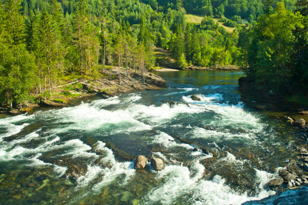 Beautiful Norwegian landscape with green forest and rushing stream seeing from train trip to Myrdal