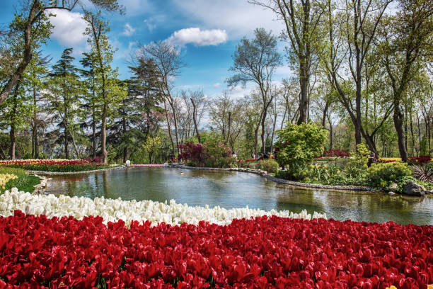 istock Emirgan Park, Istanbul 2170880713