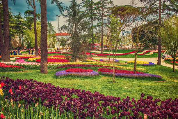 istock Emirgan Park, Istanbul 2170880952