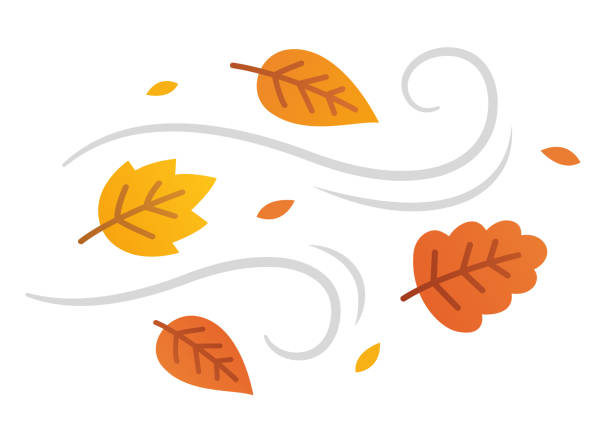 autumn leaves in the wind - musim gugur ilustrasi stok