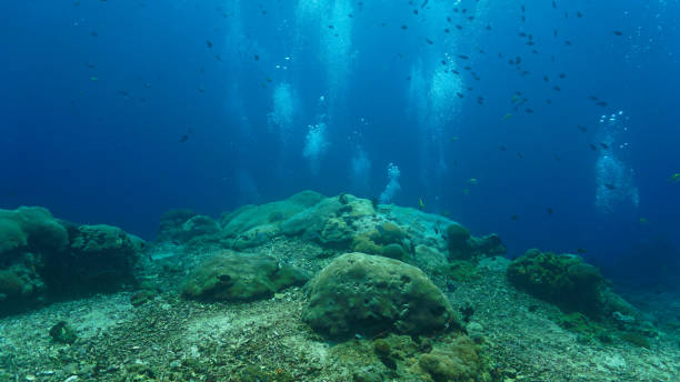 istock Air bubbles at the ocean floor 2170891197