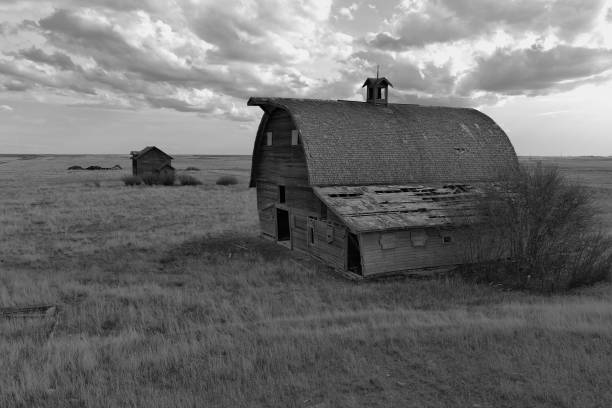 abandoned wooden house and barn on the prairie of Montana in black and white