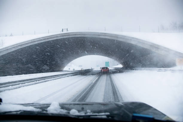 istock Wildlife bridge over the highway during a blizzard 2170897818