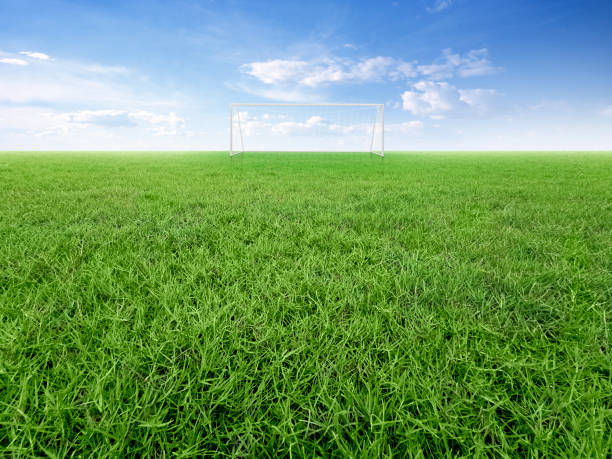 European football arena.