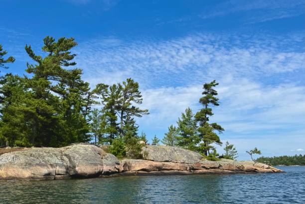 istock Rocks and Trees in Georgian Bay 2170901023
