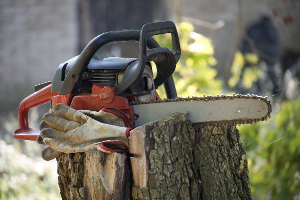Close-up of a chainsaw and gloves on a tree stump in a garden, symbolizing woodworking tools and safety for outdoor landscaping tasks.