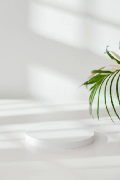 istock Minimalist White Round Display Stand Set Against Soft Natural Light 2170914833