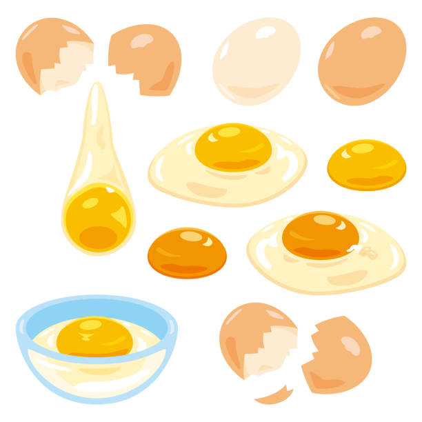 Parishable Food Icon 60+ Perishable Food Icon Stock Illustrations, Royalty-Free Vector ...