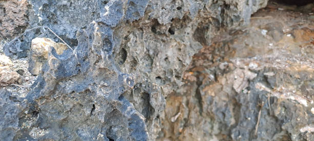 istock Texture Of Stone From The Seabed 2170915914