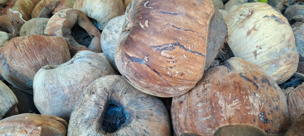 istock empty coconut shells piled up. raw material for activated charcoal for industrial fuel and beauty application.empty coconut bowls. 2170915955