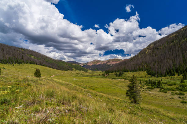 istock Mountain meadow valley in the summer with afternoon clouds 2170917493