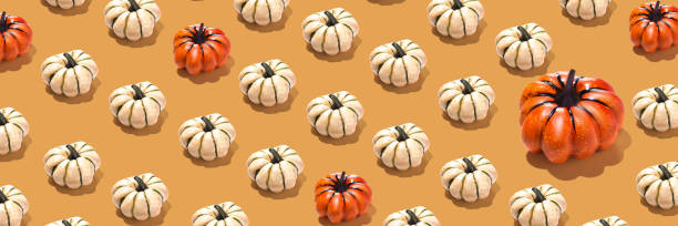 istock Pumpkins pattern creative on orange background long banner minimal ornament, white and orange pumpkins 2170917684