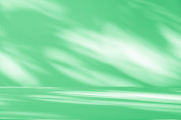 istock Studio style background wall decoration presentation uses white and green tones. with shadows cast from a nearby window, concept creating a decorative 2170921363