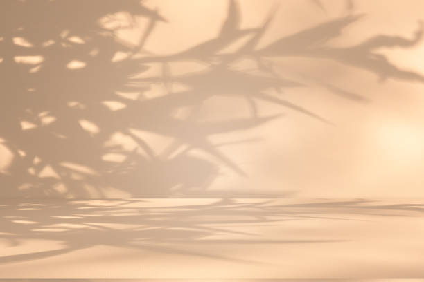 istock Studio style background wall decoration presentation uses white and beige tones. with shadows cast from a nearby window, concept creating a decorative 2170921368