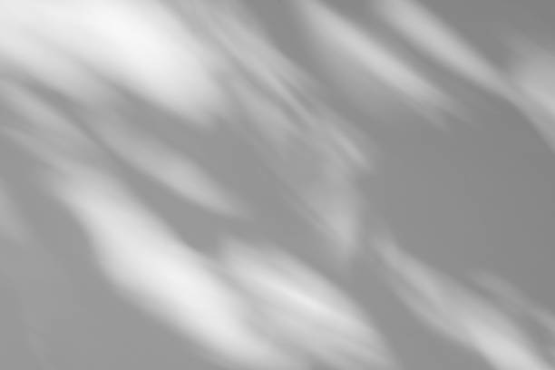 istock Studio style background wall decoration presentation uses white tones. with shadows cast from a nearby window, concept creating a decorative backdrop. 2170921379